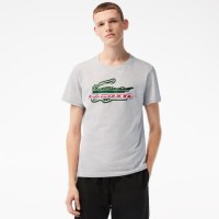 T-shirt Lacoste Sport Algodon Ecologico Gris  Offre - Pas cher