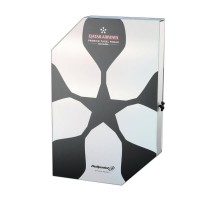 Gemma Triay Elite Woman Tour Finals 25 Bullpadel Racket