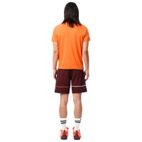 Lacoste Sport Tennis Shorts Burgundy  Offer + Cheap