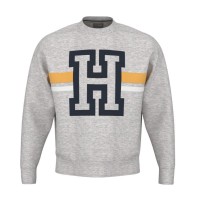 Sudadera Head Performance Capsule Gris  Oferta + Barato